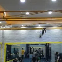 سازه تی ار ایکس