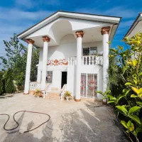 دوبلکس-نمارومی250مترسند6دانگ-ویوجنگل-نور