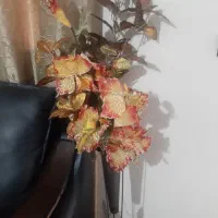 گلدان|گل مصنوعی|کارون, |دیوار