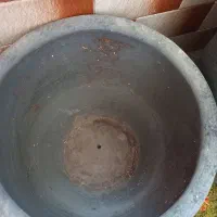 فروش گلدان سفالی|گل و گیاه طبیعی|کرج, شهرک فهمیده|دیوار