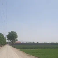 فروش یامعاوضه زمین 5100 متری مناسب گلخانه و باغ