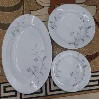 دو دست سرویس غذاخوری