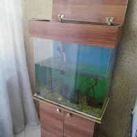 آکواریوم شیشه خم