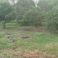 ۴۵۰ متر زمین یالبندان، کوهپایه