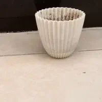 گلدان|گل و گیاه طبیعی|اهواز, کوی نفت|دیوار