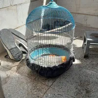 دوتا قفس|لوازم جانبی حیوانات|پاکدشت, حصار امیر|دیوار