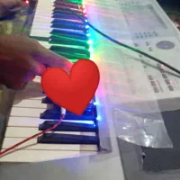 اجرای موسیقی زنده .ارگ.