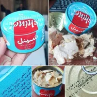 فروش عمده تن ماهی