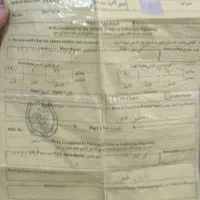 نریان ترکمن با برگه کشش|اسب و تجهیزات اسبسواری|مشهد, شهرک صنعتی توس|دیوار