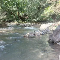 زمین جنگلی کنار رودخونه مسیر ییلاقات ماسال