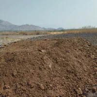 کود گاوداری صنعتی|خدمات باغبانی و درختکاری|یزد, |دیوار