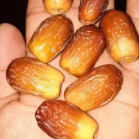 خرمای زاهدی درجه یک، فروش مستقیم از تولیدکننده|عمده‌فروشی|بوشهر, |دیوار