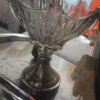 سرویس اجیل خوری لیزاموری شامپاینی نو