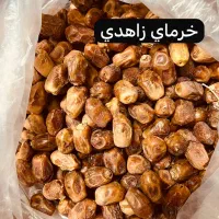 خرما و شیره خرمای جنوبی|خوردنی و آشامیدنی|قم, پردیسان|دیوار