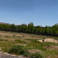 فروش-زمین-باغ