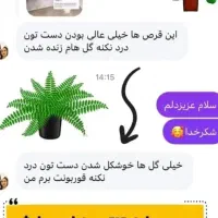 تنها قرص کود ارگانیک|گل و گیاه طبیعی|سبزوار, شهرک ابوذر|دیوار