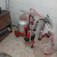 شیردوش