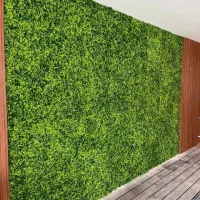 پخش چمن مصنوعی ،فنس چمنی و گرینوال|مصالح و تجهیزات ساختمان|سیرجان, |دیوار