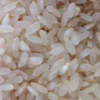 برنج کامفیروزی بشرط