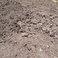 فروش کودمرغی