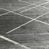 فرش طرح مدرن نو نو|فرش|میناب, |دیوار