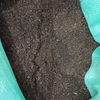 کود ارگانیک