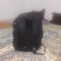 کیف مدرسه نویک ملیون|کیف، کفش، کمربند|مشهد, علی آباد|دیوار