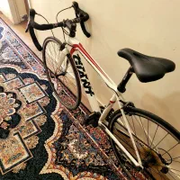 دوچرخه کورسی