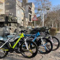 پلامیتون چیچی24.26اقساط