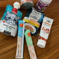 خوراکی گربه|لوازم جانبی حیوانات|ماکو, |دیوار