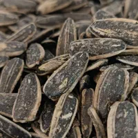 تخمه ۱۹۰ عمده|خوردنی و آشامیدنی|نیشابور, ده حلاج|دیوار