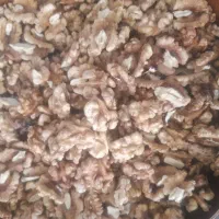 مغزگردوروغنی تازه