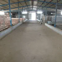 فروش مجتمع دامپروری ، بلوکه زنی ، کشاورزی و ویلایی|فروش زمین و ملک کلنگی|خوسف, |دیوار