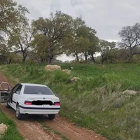 دربستـ از یاسوج به ـایر نقاط ایران