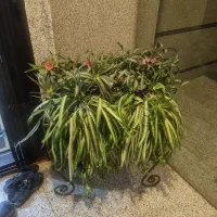 گل مصنوعی و گلدان فرفوژه