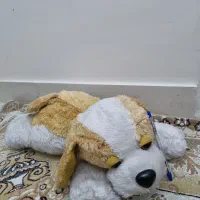 عروسک،اسباب بازی، عروسک خرسی خرگوش سگ،پلنگ صورتی،|اسباب‌‌بازی|ری, حمزه‌آباد|دیوار