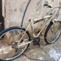 دوچرخه|دوچرخه، اسکیت، اسکوتر|بجنورد, |دیوار