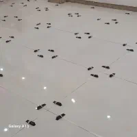 نیاز مند به کارگر