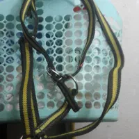 ابساروسینه بند|لوازم جانبی حیوانات|تهران, باغ خزانه|دیوار