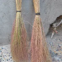 ۵۰ عدد جارو  شهری خوب  به فروش میرسد