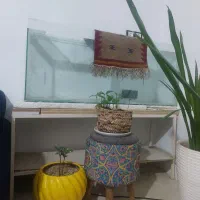 فروش اکواریوم