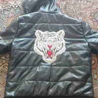 کاپشن پسرانه نو|لباس|سبزوار, جوادیه شرقی|دیوار