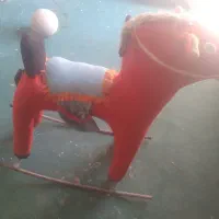 اسباب بازی الاغ تروتمیز هست