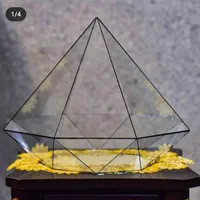 تراریوم چند وجهی|گل و گیاه طبیعی|کرج, حسین‌آباد|دیوار