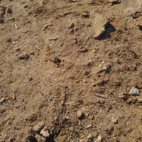 کود|لوازم جانبی حیوانات|مبارکه, |دیوار
