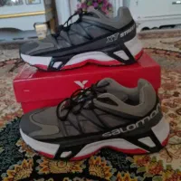 کفش نو|کیف، کفش، کمربند|سنندج, |دیوار