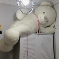 خرس سفید ۱.۵ متری سالم و نو