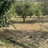 باغ در پسته بیگ