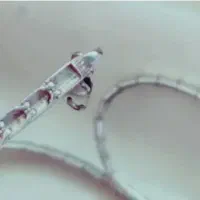 سرویس نقره عروس|جواهرات|اصفهان, صدف|دیوار