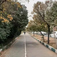 آگهی  رهن و اجاره بلوار فرساد شرقی نیلوفر